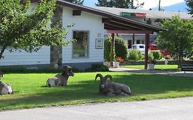 Mountain Springs Motel